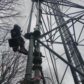 Bild von TSC BATI PRO SERVICES