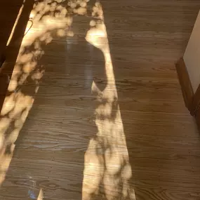 Bild von Wills Flooring Wood Floor Refinishing Services