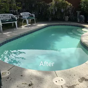 Bild von Nearby Pool Service
