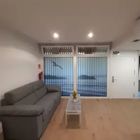256311133.jpg