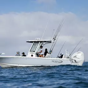Bild von Collins Marine