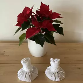 Bild von Ayurveda Praktikerin Michaela Winter