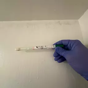 Bild von 24H Mold Inspection of Riverside