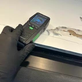 Bild von 24H Mold Inspection of Riverside