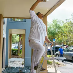 Bild von Renovia - Nashville