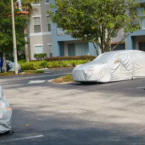 Bild von Renovia - Nashville