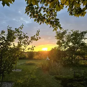 Bild von Freizeithof Tigermotte