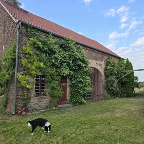 Bild von Freizeithof Tigermotte