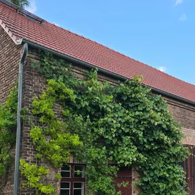 Bild von Freizeithof Tigermotte