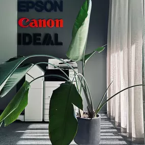 Bild von we love your office GmbH - work.better.