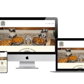 Bild von Apex SEO Company