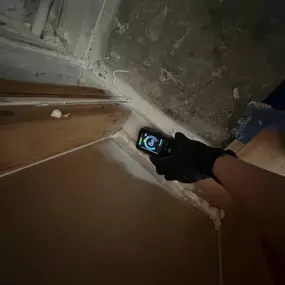 Bild von 24H Mold Inspection of Mission Viejo