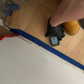 Bild von 24H Mold Inspection of Mission Viejo