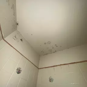 Bild von 24H Mold Inspection of Mission Viejo