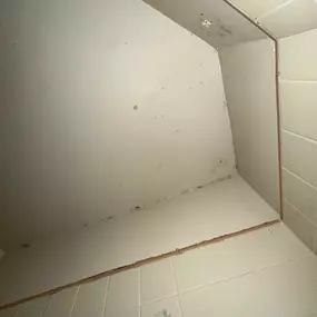 Bild von 24H Mold Inspection of Mission Viejo