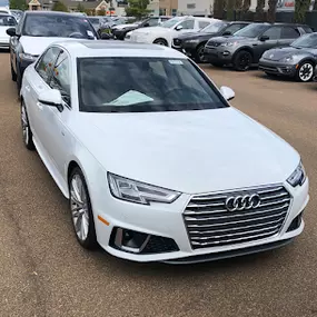 Bild von Audi Jackson