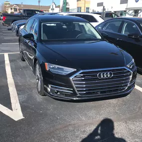 Bild von Audi Jackson