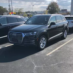 Bild von Audi Jackson