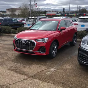 Bild von Audi Jackson