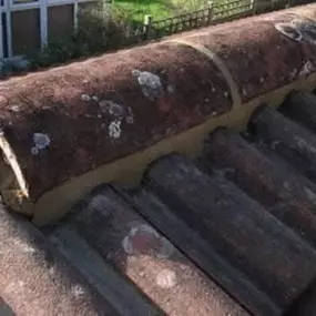 Bild von 5 Star Roofing