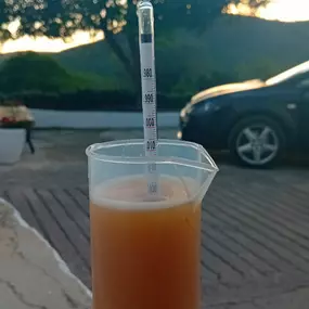 305351090-1-aBasCoerFU1760536074429.jpeg