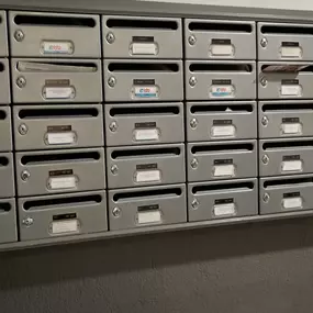 305567067-2-zyilWM86Ha1760501674710.jpeg
