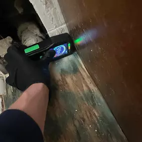 Bild von 24H Mold Inspection of Burbank