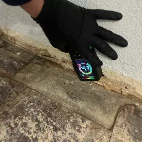 Bild von 24H Mold Inspection of Burbank