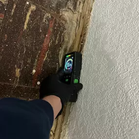 Bild von 24H Mold Inspection of Burbank