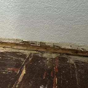 Bild von 24H Mold Inspection of Burbank