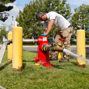 Bild von Fire Safety First