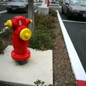 Bild von Fire Safety First