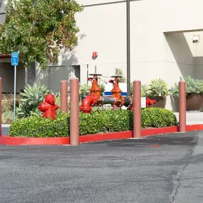 Bild von Fire Safety First