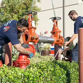 Bild von Fire Safety First