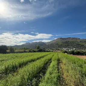 Bild von NutraPosuna