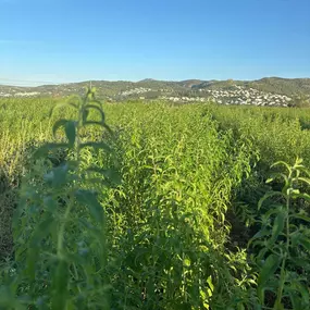 Bild von NutraPosuna