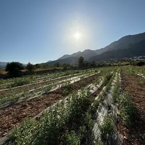 Bild von NutraPosuna