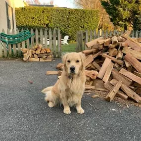 Bild von Sherman Outdoor Services