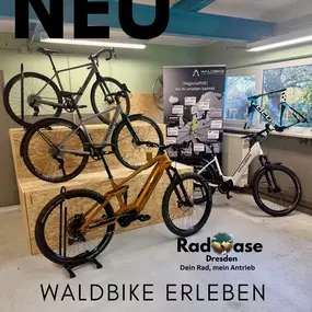 Bild von RadOase Dresden - Fahrradladen mit Herz
