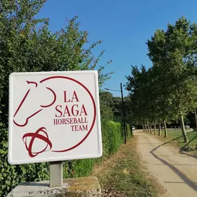 Bild von La Saga Horseball Team