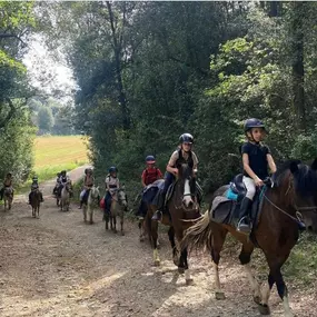 Bild von La Saga Horseball Team