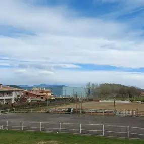 Bild von La Saga Horseball Team