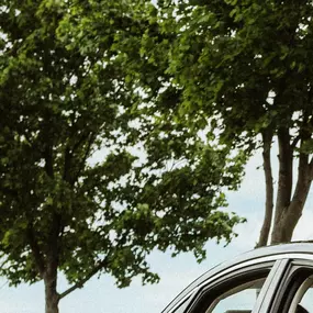 Bild von DISTREX Limousinenservice