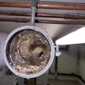 Bild von Belting Kanalreinigung GmbH