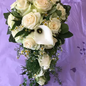 Bild von Blumen Sebastian Stransky