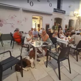 TERRAZA04.PNG