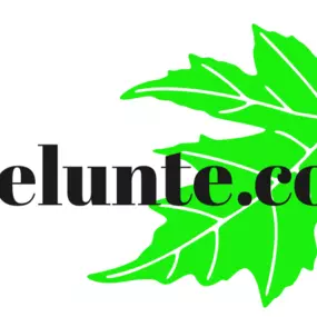 Bild von Liselunte.com