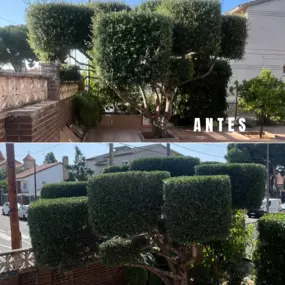 305267999-2-lbionPkPSp1758788081892.png