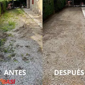305267999-2-lbionPkPSp1758789527559_800x0.png