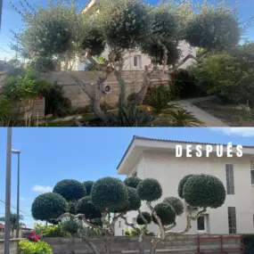 305267999-2-lbionPkPSp1758787721587_800x0.png